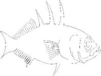 FISH.PCX