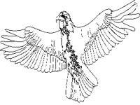 EAGLE2.PCX