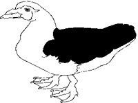 DUCK.PCX