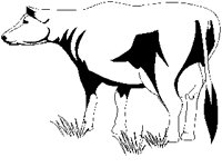 COW.PCX