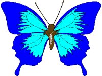 BUTTFLYC.PCX