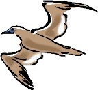 AN08103.WMF