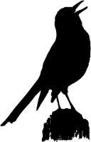 AG000631.WMF
