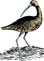 AG000025.WMF
