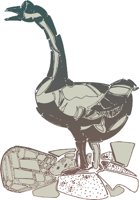AE43005A.WMF