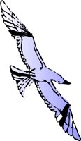 AD003804.WMF