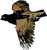 AD003485.WMF