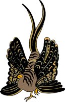 AB15055B.WMF