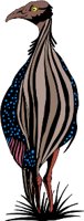 AB01063A.WMF