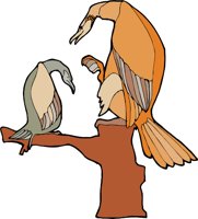 AB01021A.WMF