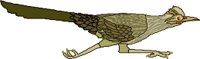 89BIRD.WMF