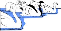7SWANS.WMF