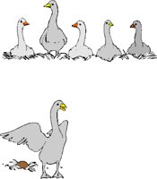 6GEESE2.WMF