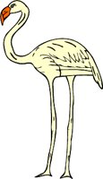 flamngo1.WMF