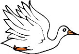 dove1.WMF