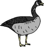 cndgoose.WMF