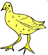 chick2.WMF