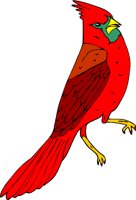 cardinl3.WMF