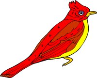 cardinl2.WMF