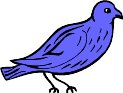 bluebir1.WMF