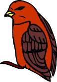 bird7.WMF