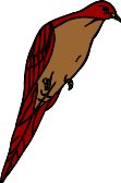 bird5.WMF