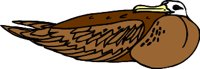 bird03.WMF