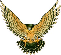 Falcon5.wmf