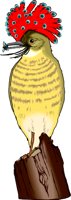 FLYCATCH.WMF