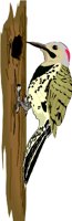 FLICKER.WMF
