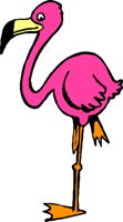 FLAMINGO.WMF