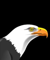 Eagle9.wmf