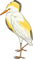 EGRET.WMF