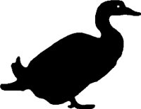 DUCKS001.WMF