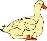 DUCK005.WMF
