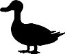 CS62_.WMF