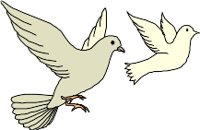 CS000066.WMF