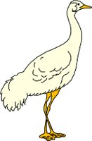 CS000052.WMF