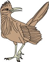 CS000046.WMF