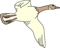CS000030.WMF
