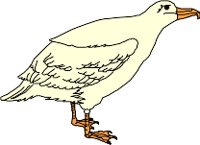 CS000016.WMF