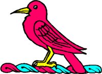 COOT2.WMF