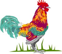 COCKEREL.WMF