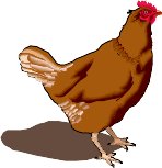 CHICKEN.WMF