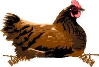 CHICK008.WMF