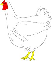 CHICK002.WMF