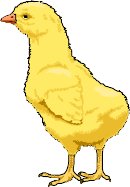 CHICK.WMF