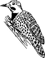 CC005075.WMF