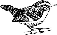 CC005074.WMF