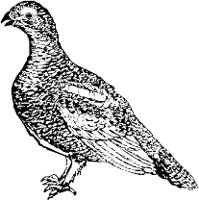 CC005073.WMF